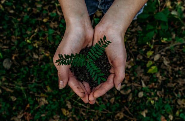 Hands holding plant earth soil